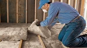 Best Attic Insulation Installation  in Shawneeland, VA