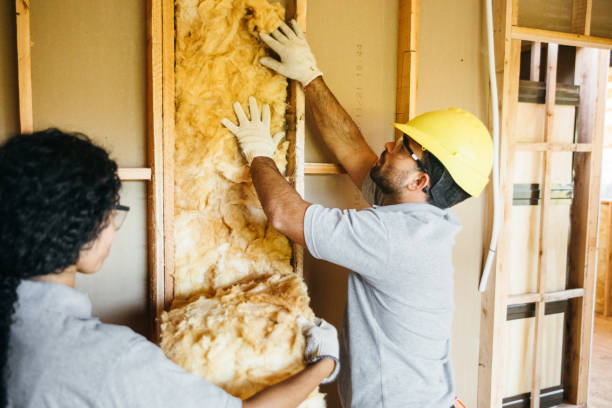 Best Reflective Insulation  in Shawneeland, VA