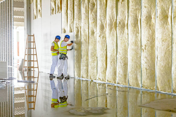 Best Attic Insulation Installation  in Shawneeland, VA