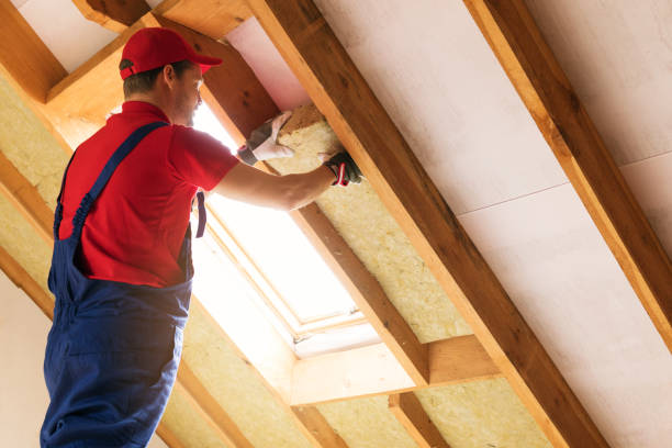 Best Batt and Roll Insulation  in Shawneeland, VA